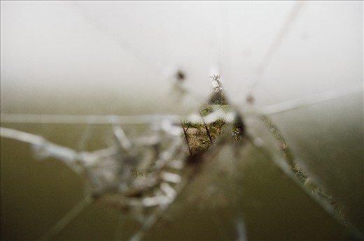 Life of the outside doesn't travel through to the inside of the abandoned school