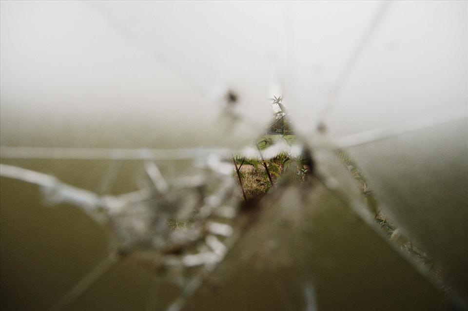 Life of the outside doesn't travel through to the inside of the abandoned school