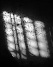 Grenade Marks On Cell Floor: by bre, Views[266]