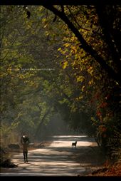 by breakingfree, Views[283]