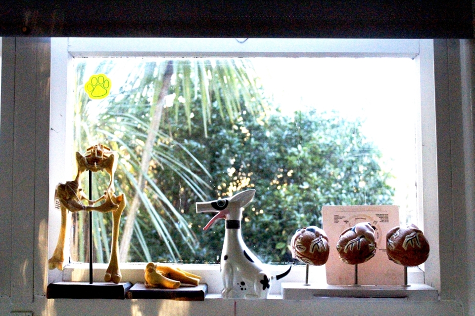 Presonality. Seriouse and Fun side to the man.