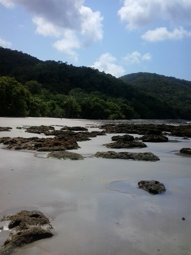 Where the reef meets the rainforest..