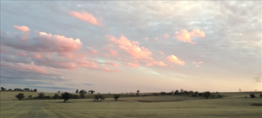 Farming's traces. Machinery leaves it's mark upon ground, where else wise it wou