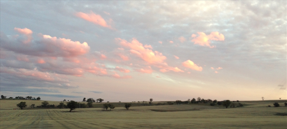 Farming's traces. Machinery leaves it's mark upon ground, where else wise it wou