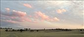 Farming's traces. Machinery leaves it's mark upon ground, where else wise it wou: by briege, Views[379]