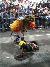 by briellagu2_photography, Views[353]