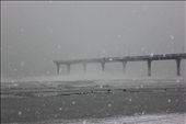 New Brighton Beach/Pier, Christchurch, during a snow storm of one of the coldest winters in Chch in decades. New Brighton is also one of the harder hit suburbs of Chch.
The timing of these two cold winters was difficult because of the earthquakes. Many people did not have warm homes to shelter them and many districts were still being 'zoned' for earthquake repairs or demolition.
During the winter there were many people stuck in limbo with uncertain futures. This pier appears as a bridge to nowhere, which is how many people would have felt about their lives at the time; not knowing if they had a future in Chch or not.
However, the bitter cold made many in the city appreciate the things they still had. The beauty of the small kindnesses and the community pulling together  was important for Chch. This also birthed local superheroes Flat Man and Quake Kid who regularly perform volunteer and charity work for Chch.: by brielle, Views[1368]