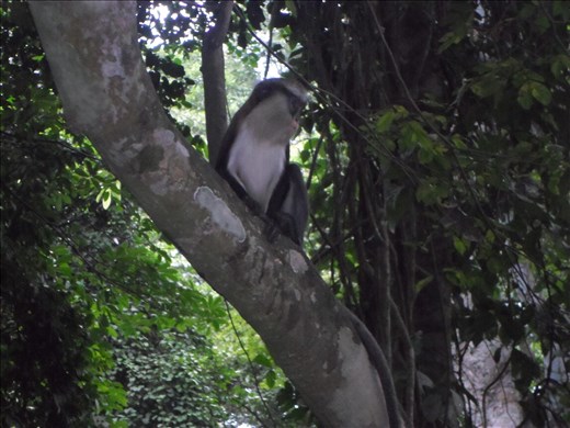 Memories Will never Lie