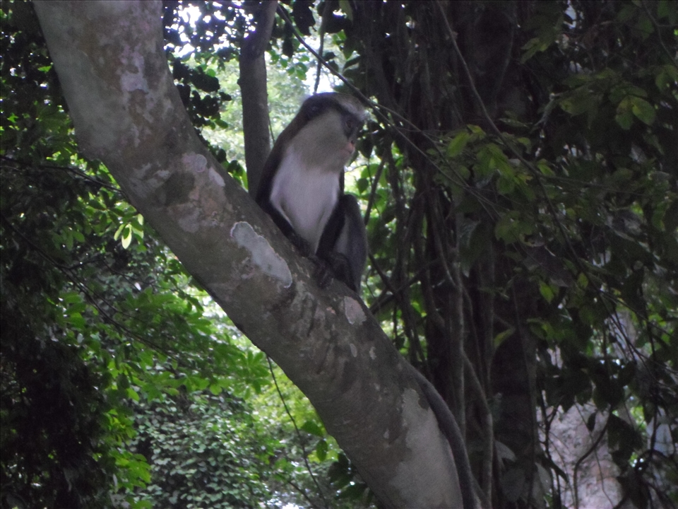 Memories Will never Lie