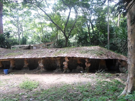 Memories Will never Lie