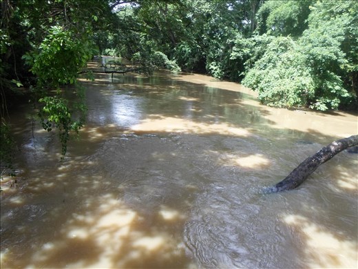 Memories Will never Lie