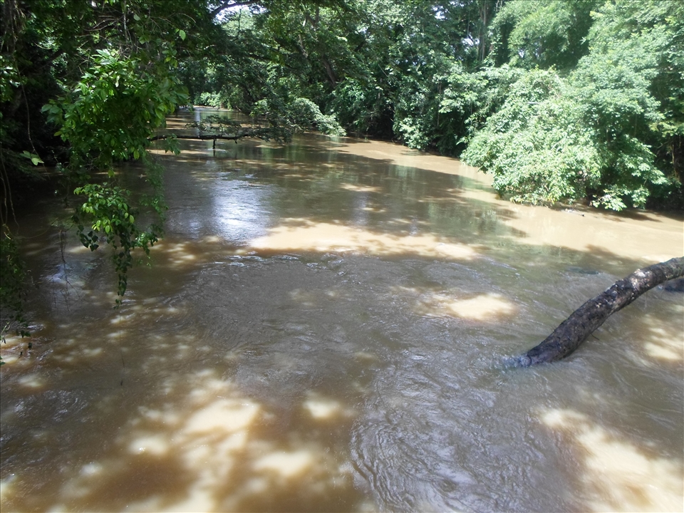 Memories Will never Lie