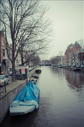 by brightside, Views[163]