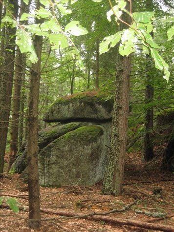 am druidenweg. viel energie.