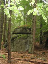 am druidenweg. viel energie.: by brigitteag, Views[423]