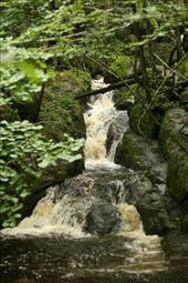 ysperklamm. ruhe.: by brigitteag, Views[423]