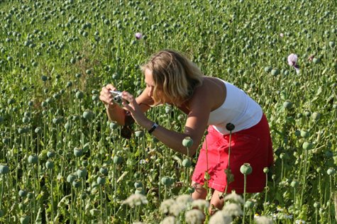 das schönste hobby...