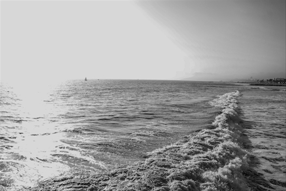 the pacific ocean in at the Santa Monica pier in California 