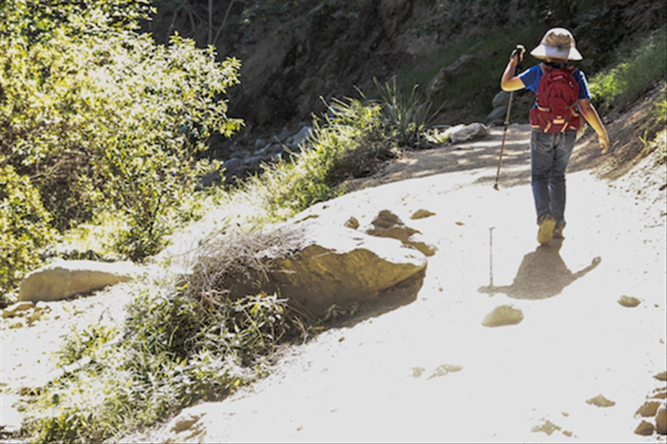 a young boy exploring the hills in Pasadena, CA