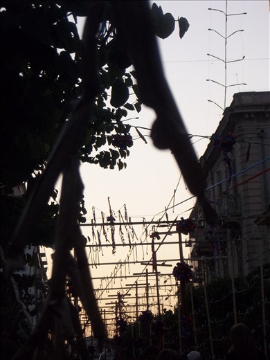 Firecrackers like grapes