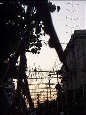 Firecrackers like grapes: by bringing, Views[283]