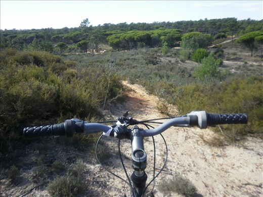 Off the beaten track...