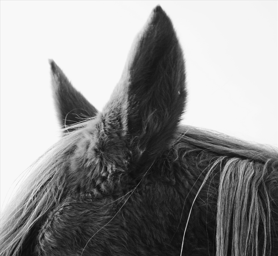 Taken in the winter of 2013 on my family farm in Monticello, WI.