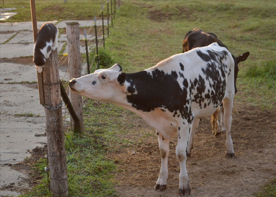 
Taken the summer of 2013 after I graduated high school on my family farm in Monticello, Wisconsin.