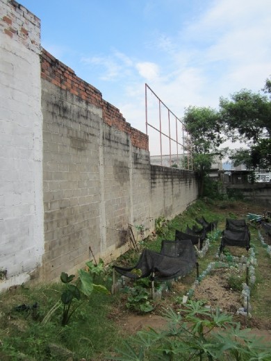 The wall we are painting!