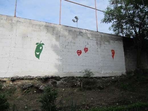 Tom starting to paint characters on the wall for when kids come to the garden to learn about gardening