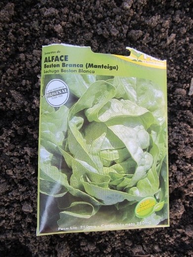 One of their main crops