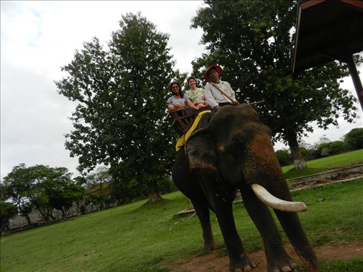 Elephant ride in Hue, Vietnam