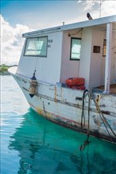 A fishing boat in the Bahamas.: by brittanysage, Views[188]