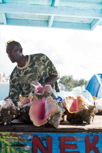 The King of Conch!