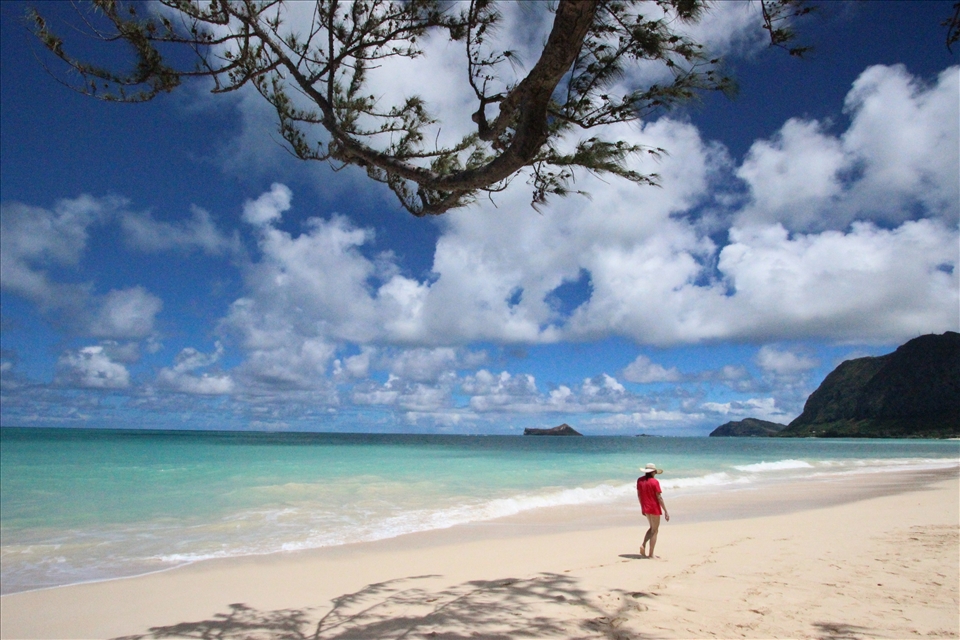 A beachcomber strolls along the windward side of O'ahu.