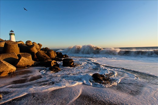 A lighthouse and a seagull watch waves crashing in Santa Cruz, California.