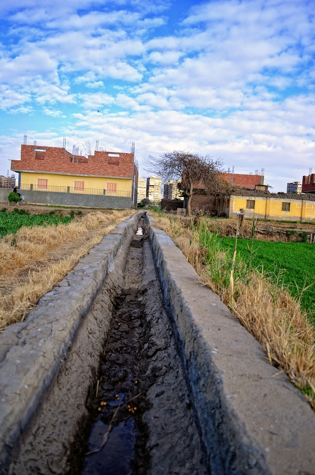Dahab Island is an agricultural island in the middle of Cairo consisting of villages , farms & fields.There are no cars or tractors on the island so the available forms of transportation are on horse/donkey back or by foot.
