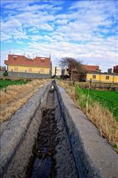 Dahab Island is an agricultural island in the middle of Cairo consisting of villages , farms & fields.There are no cars or tractors on the island so the available forms of transportation are on horse/donkey back or by foot.: by brombaly, Views[1053]