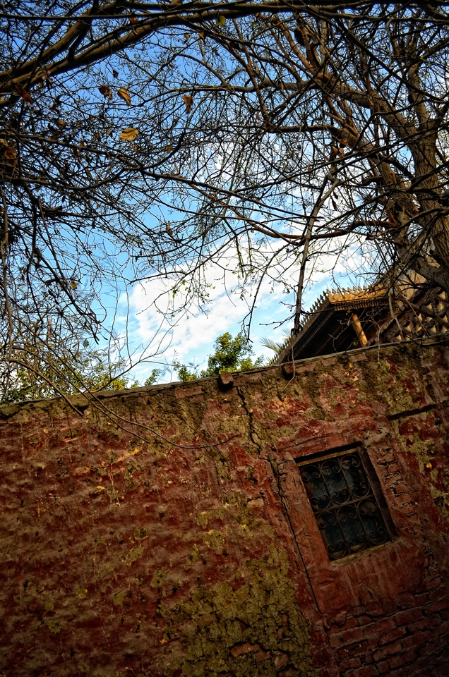 It is inhabited by people who farm their land and earn their living day by day.Their freshly grown produce is a part of their daily nutrition.