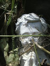 Praying blind for decades passing, the earth slowly swallowing his prayers: by brownmoore, Views[271]