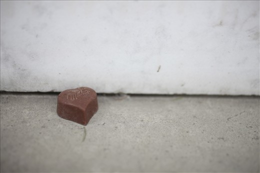 A sweet tooth amongst the loves lost