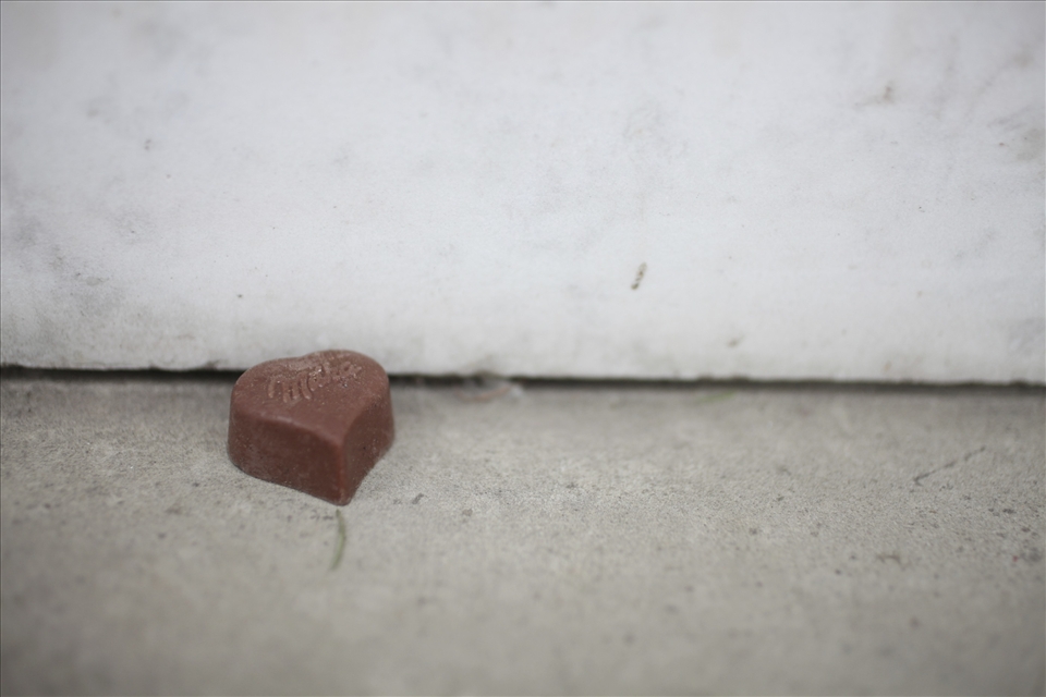 A sweet tooth amongst the loves lost