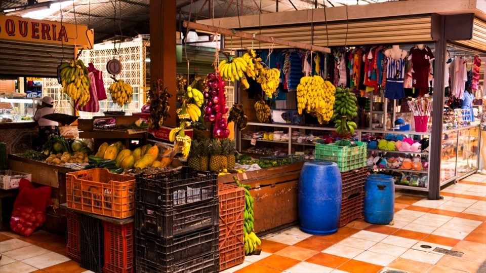 What impressed me the most was the different things sold in the place, from fruits and vegetables to clothing.