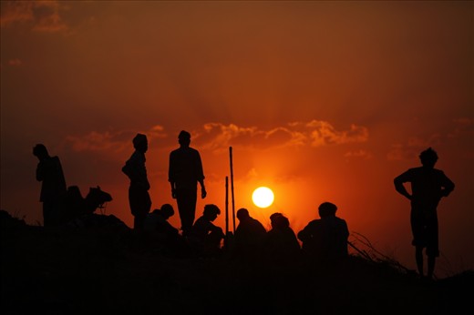 This photograph is taken in Pushkar International cattle fair , Rajasthan .