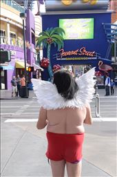 by bspector, Views[98]