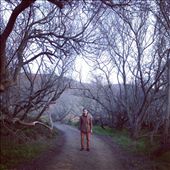 Coastal Trail at Muir beach, which extends to the Coyote Ridge Trail, was once used as a ranch and military road.: by bsterling, Views[371]