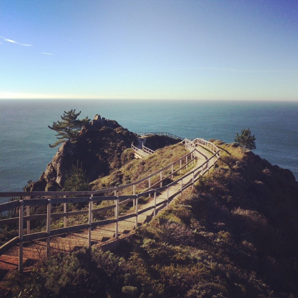 Muir Beach Overlook, a breathtaking cliffside with historic base-end stations. On a clear day, you can see San Francisco, or maybe even a blue whale. 