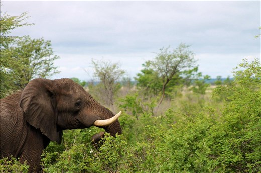 Found on the side of the road 