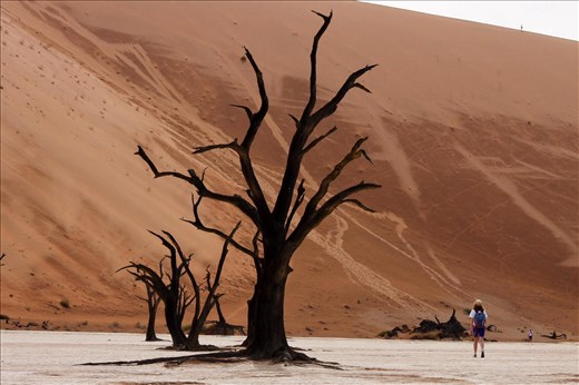 Perspective of enormity 