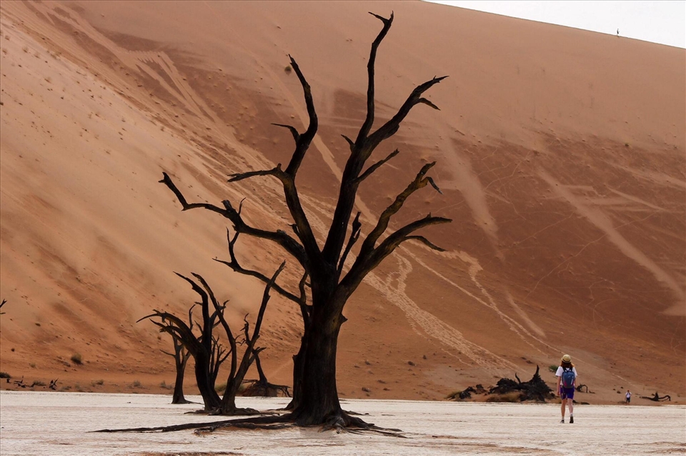 Perspective of enormity 